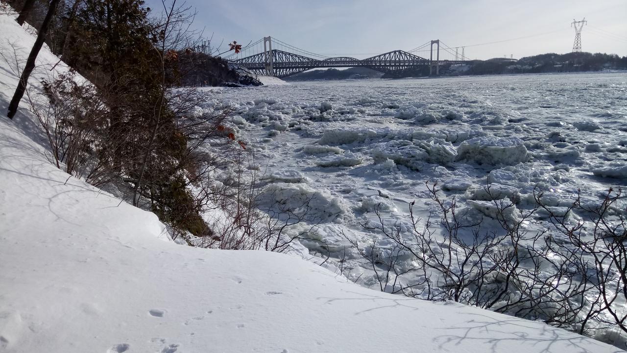 Gite Au Gre Du Vent Québec Eksteriør billede